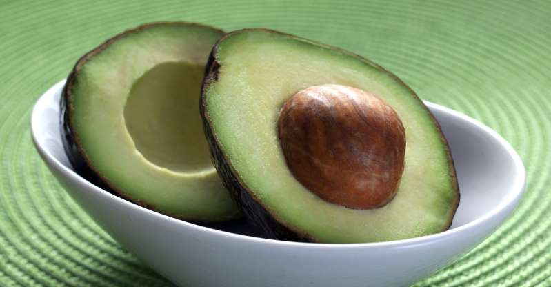 COMER AGUACATE YA ES UN LUJO; ES EL MÁS COSTOSOS DE LA CANASTA BÁSICA