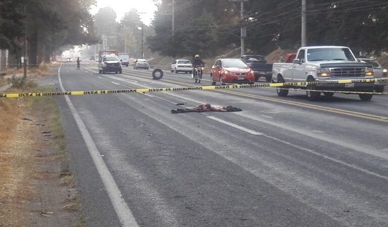 Lo atropellaron tantas veces que quedo aplanado en el asfalto