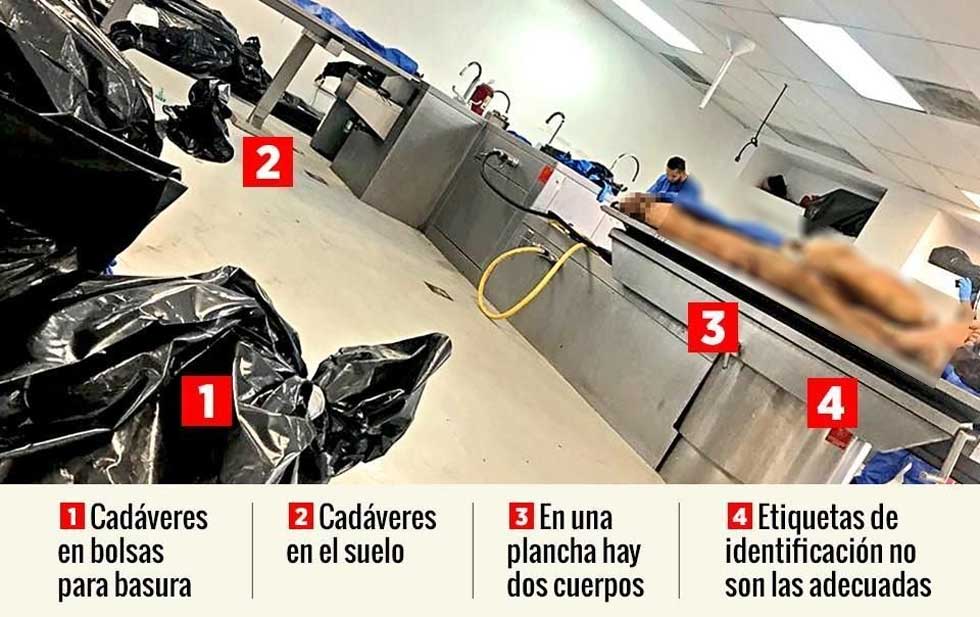 ¿COLAPSA EL SISTEMA FORENSE EN EL PAÍS?