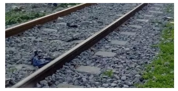 Mujer muere con bebé en brazos junto a las vías del tren en Ecatepec