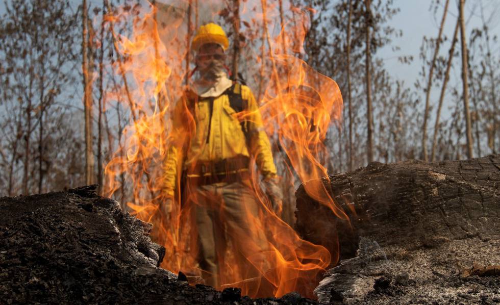 Un importante fabricante de ropa y calzado veta el cuero brasileño tras los incendios en la Amazonia