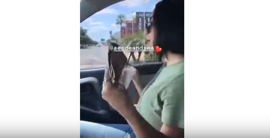 La hija del Alcalde de Sinaloa esta forrada en dinero; así lo presume