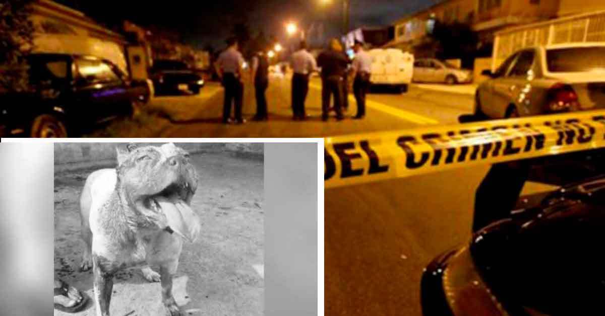 Visito a sus abuelitos y murió atacado por su Pitbull