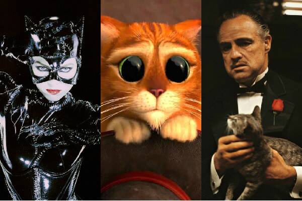 Los gatos más famosos y fascinantes del cine