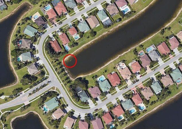 Encuentran restos humanos de un hombre desaparecido gracias a Google Earth