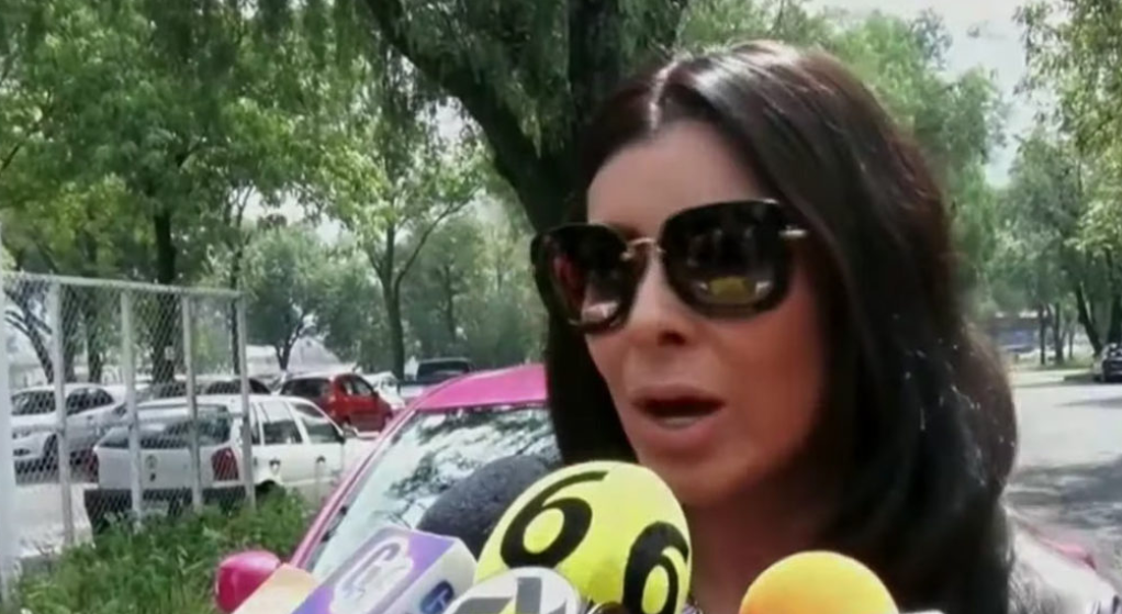 Yadhira Carrillo dice estar “sin recursos suficientes” para cuidar a sus 50 perros