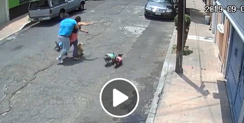 Así aventó cobarde a señora que paseaba a su perro