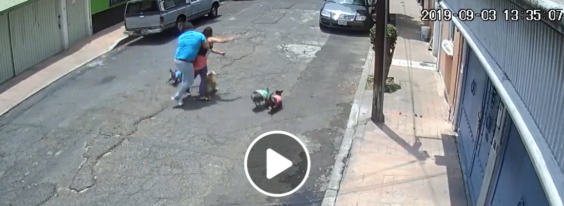 Así aventó cobarde a señora que paseaba a su perro