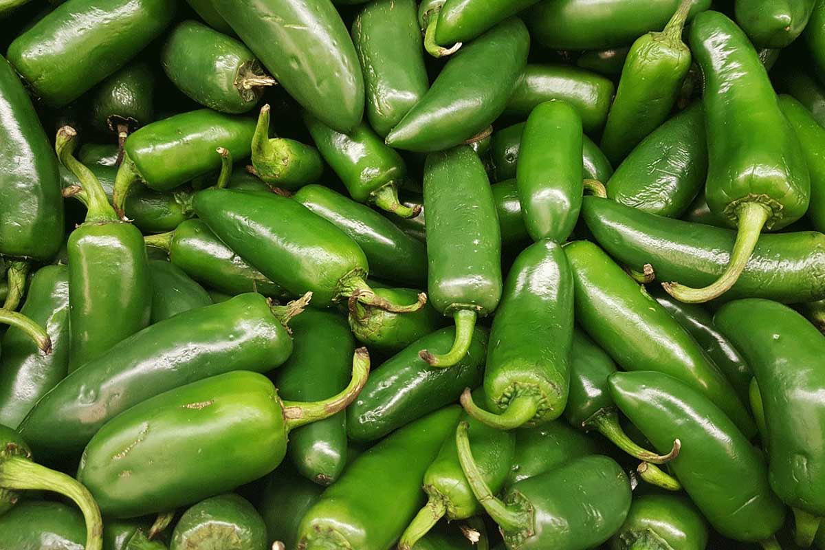 Esposos se quitan la vida comiendo chiles, dejan 3 huérfanos