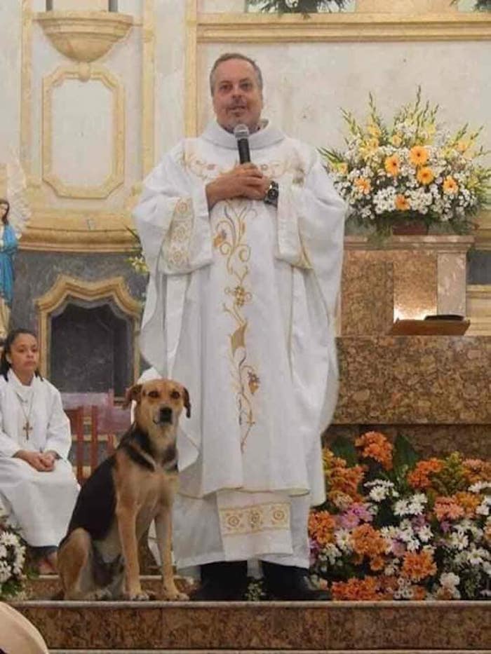 Padre de la Iglesia lleva a misa a perros callejeros para promover su adopción a feligreses