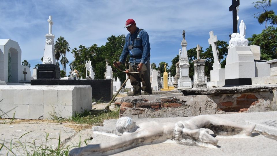 Enjambres de abejas están poblando los panteones de Mazatlán