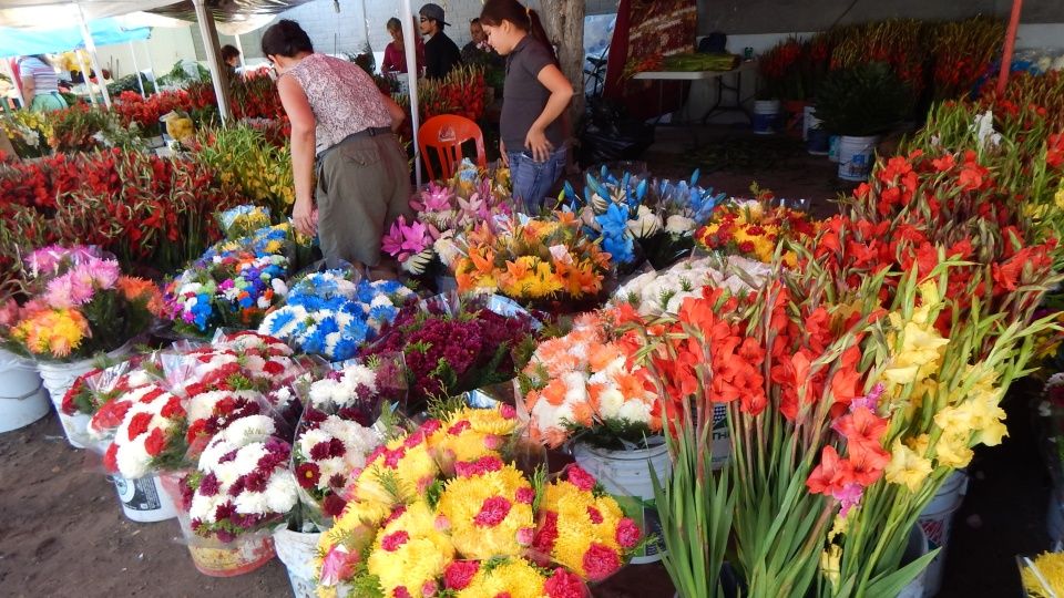 Ya están los precios establecidos para este Día de Muertos en las Flores