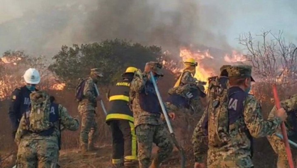 Murió abrazado a su perro, víctima de incendios en Baja California