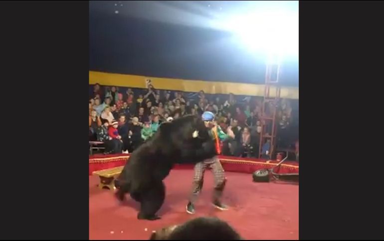 Oso de circo ataca a su entrenador en pleno show en Rusia