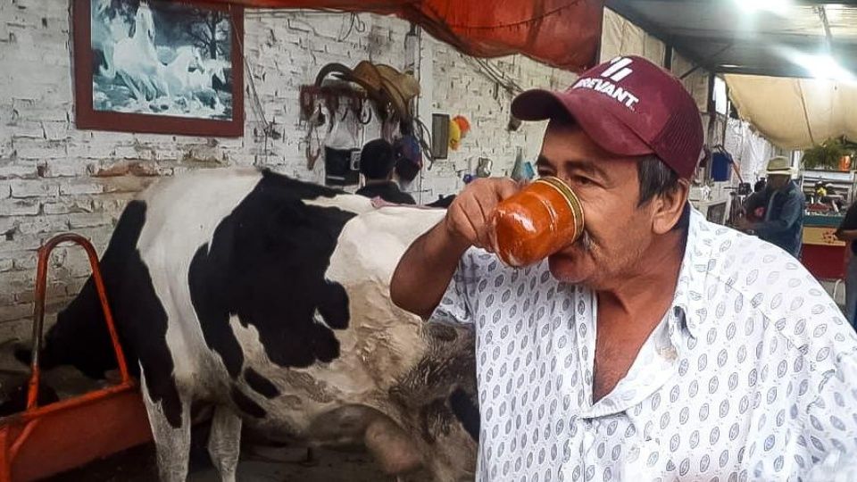 ¿Qué hace un corral con vacas en medio de Guadalajara?