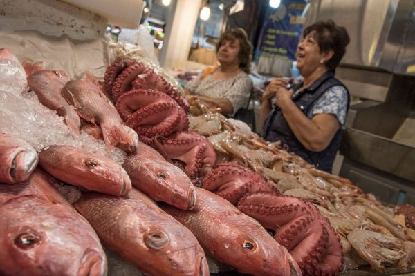 Pescado que se consume en México esta contaminado con plástico