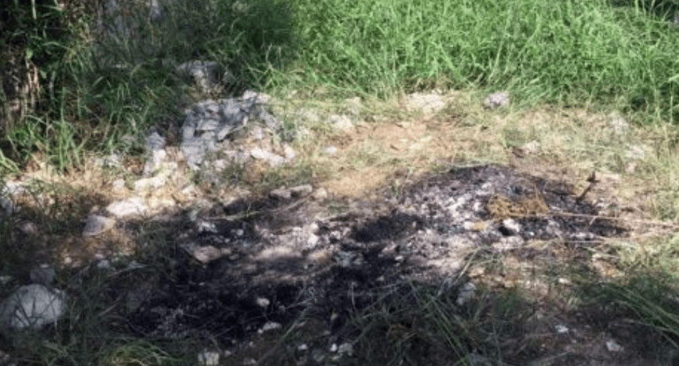 Una mujer mató a su propio nieto de 8 años y su cadáver lo abandonó en un paraje