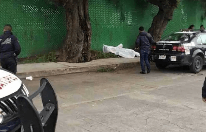 Sin signos de violencia, aparecen en Ecatepec dos mujeres sin vida bajo un árbol