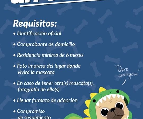 ¿Quieres adoptar un perro? El Gob de Ecatepec te da uno así