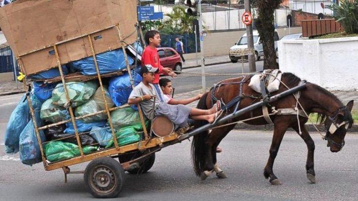 Tu muy bien COACALCO; El municipio prohíbe el uso y transito de animales para la recolección de basura