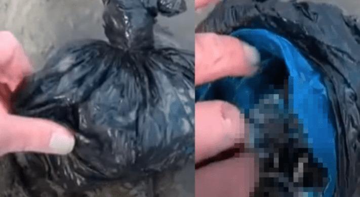 VÍDEO | Encuentran bolsa misteriosa y no podrás creer lo que había en el interior