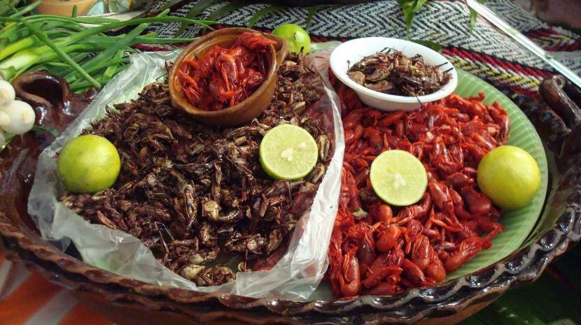 EL ARTE DE COMER INSECTOS EN MÉXICO DESDE TIEMPOS ANCESTRALES