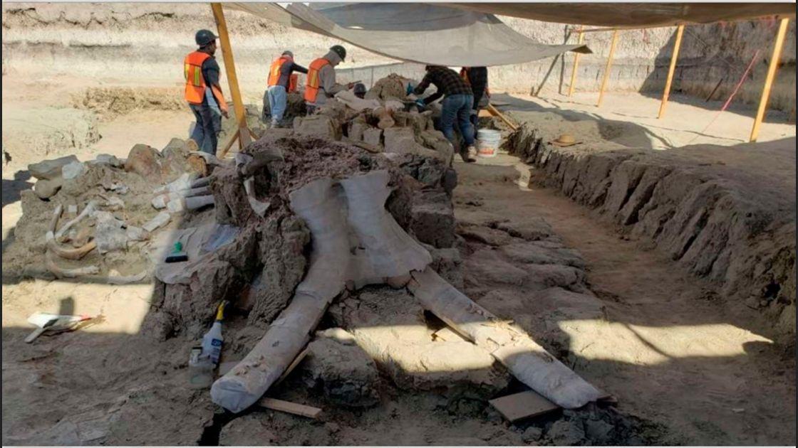 Encuentran restos arqueológicos y de megafauna en predio de Santa Lucía