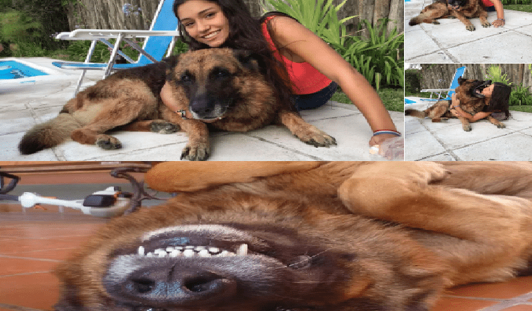 Joven termina severamente mordida y mal herida al intentar tomarse una foto con su perro