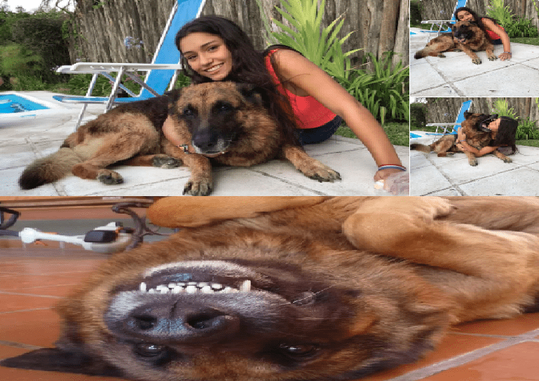 Joven termina severamente mordida y mal herida al intentar tomarse una foto con su perro