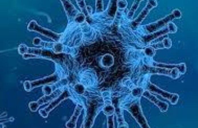 Detectan nuevo virus mortal en Brasil: “Yaravirus”, es peor que el coronavirus