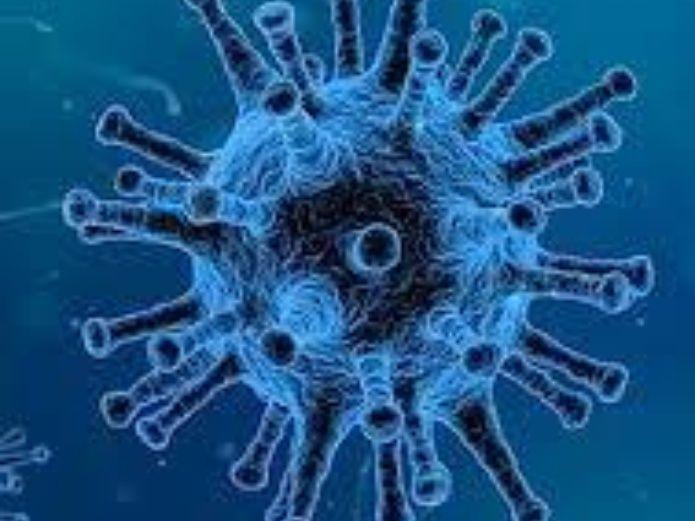 Detectan nuevo virus mortal en Brasil: “Yaravirus”, es peor que el coronavirus