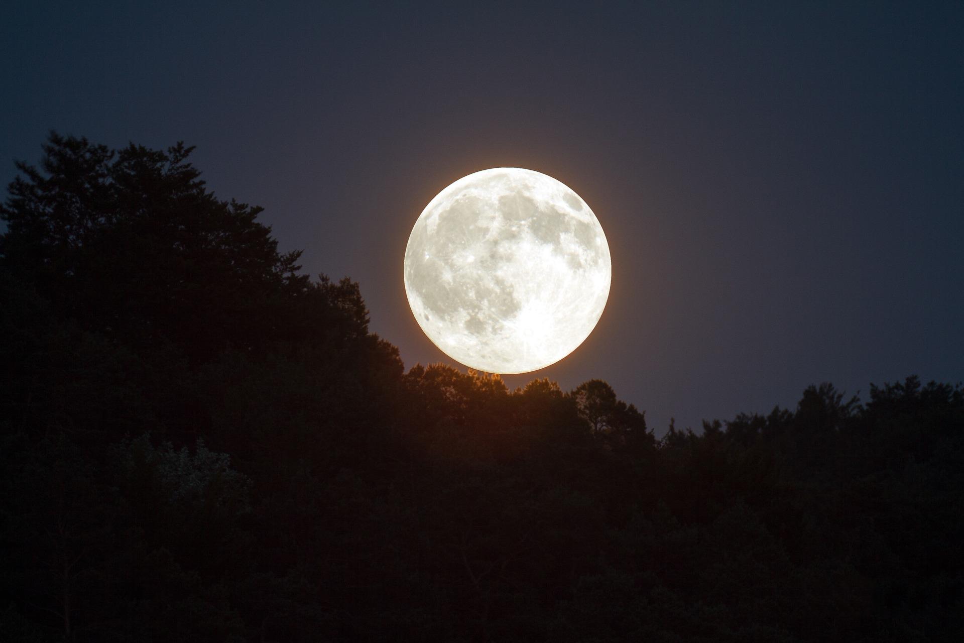 Luna de Nieve