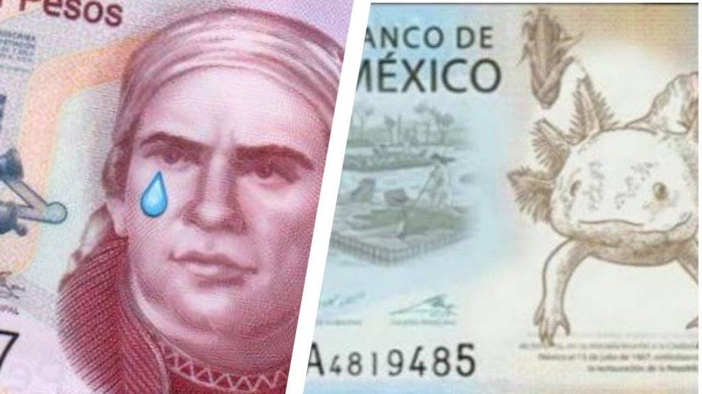 El ajolote será el protagonista de los nuevos billetes de 50 pesos