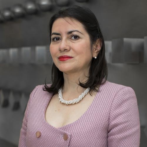 Rosa María Ramírez es la nueva directora del Instituto de Ingeniería