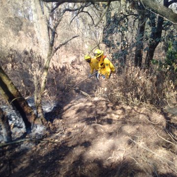 Controlan incendio en Sierra de Guadalupe en el Edomex