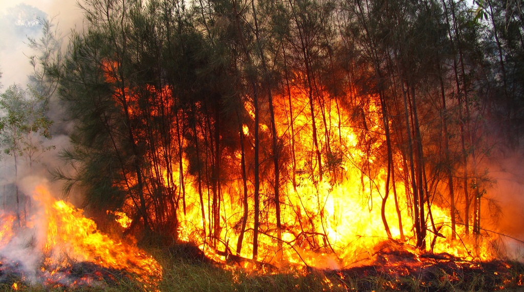 incendios forestales