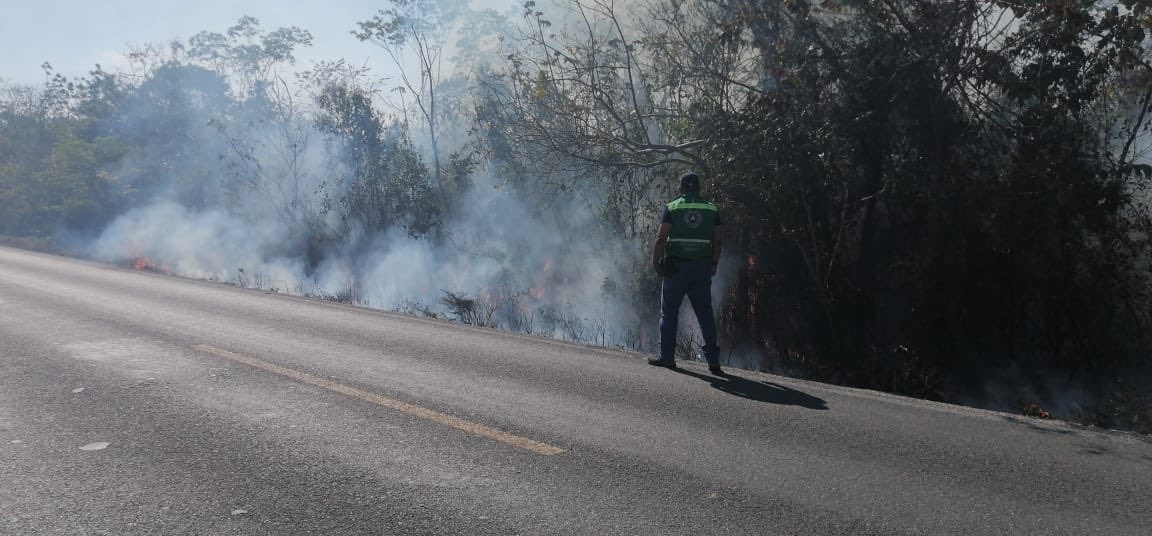 Autoridades quintanarroenses reportan 40 incendios en la entidad