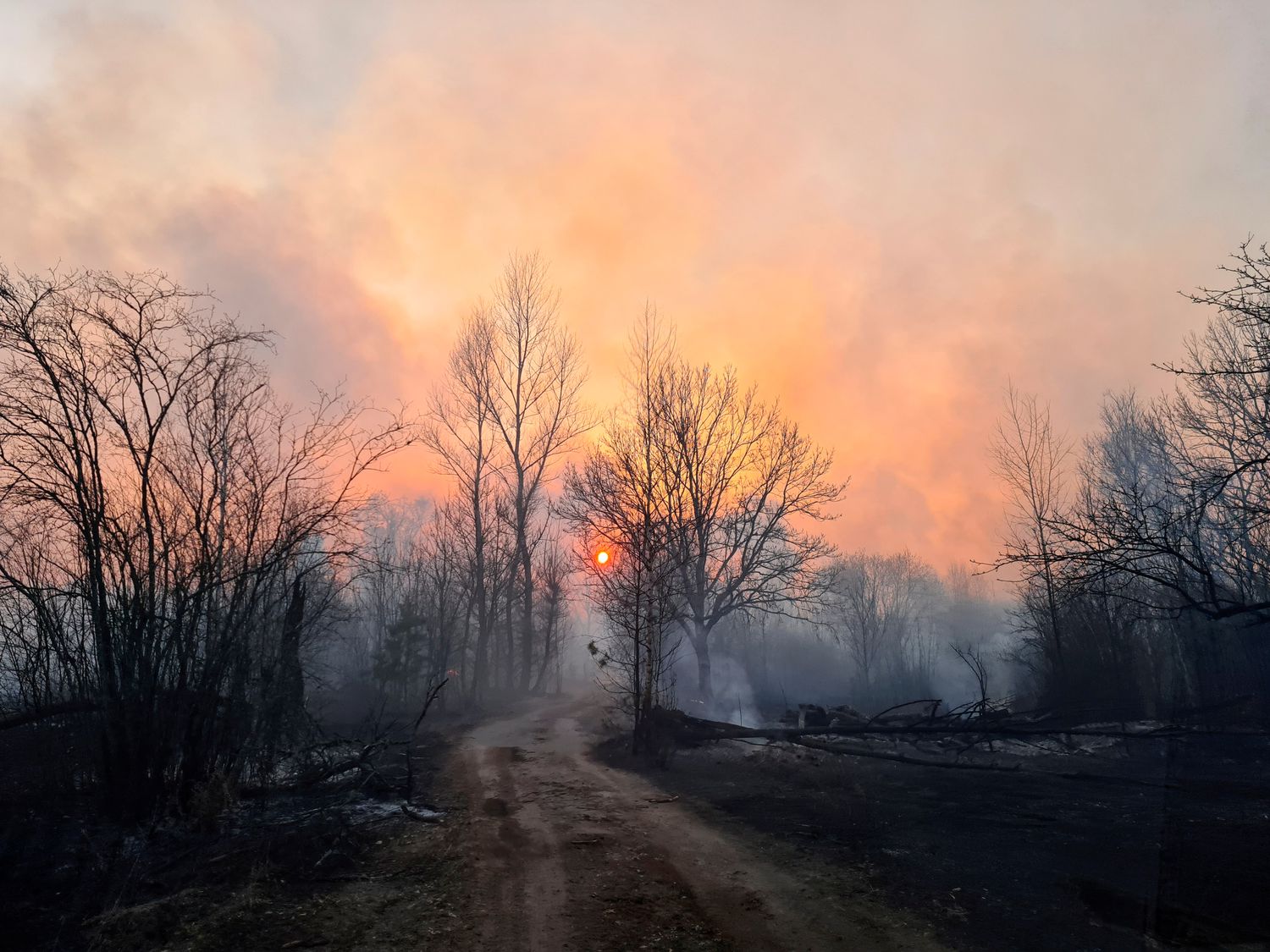 Se registra incendio en el área de Chernobil