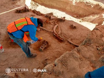 Piden resguardar área de Santa Lucía donde fueron hallados restos de mamuts