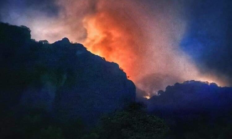Son evacuadas 15 casas en Morelos por incendio en Tepoztlán