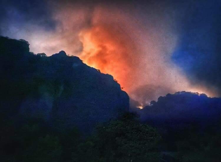 Son evacuadas 15 casas en Morelos por incendio en Tepoztlán