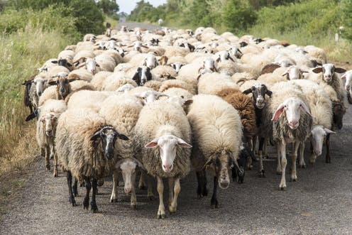 Expertos desaconsejan la inmunidad de rebaño ante el coronavirus