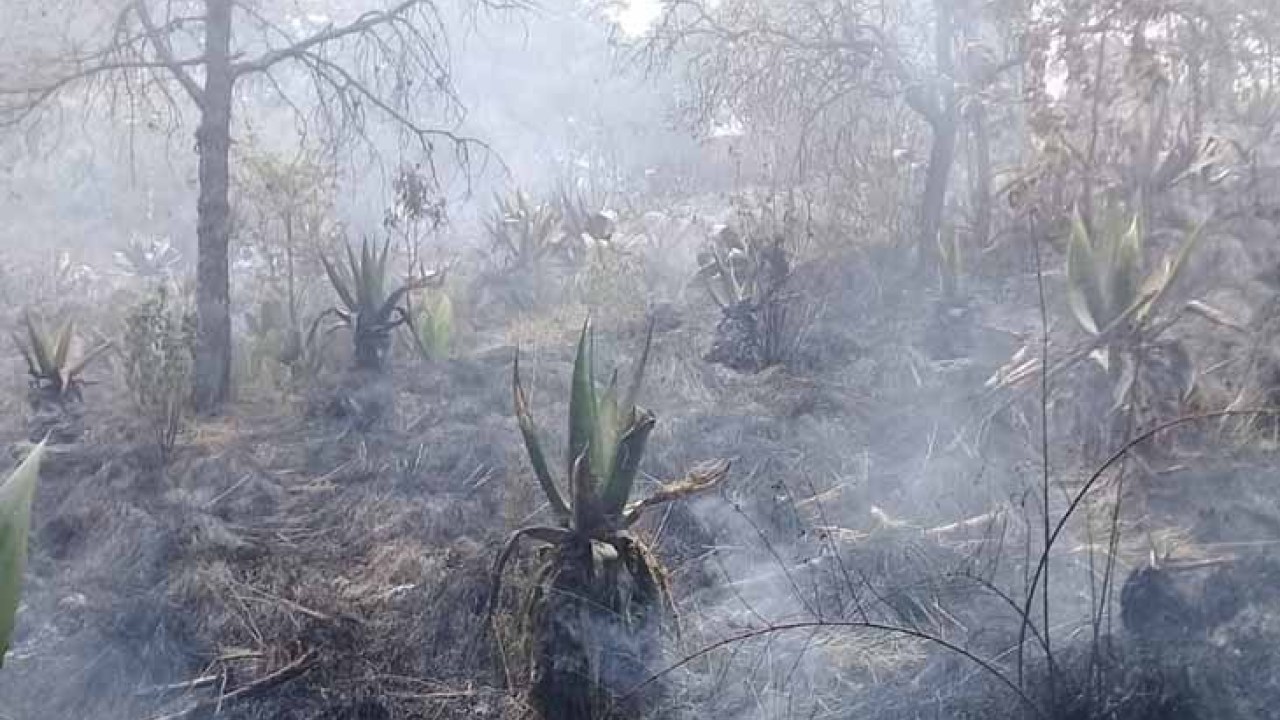 Líder indígena denuncia incendios provocados en Ocoyoacac