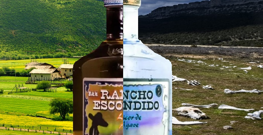 El tequila Rancho Escondido que mato a 8 personas era una falsificación del verdadero