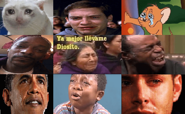 Ley anti-memes podría llevarte a la cárcel, ya fue aprobada en Veracruz