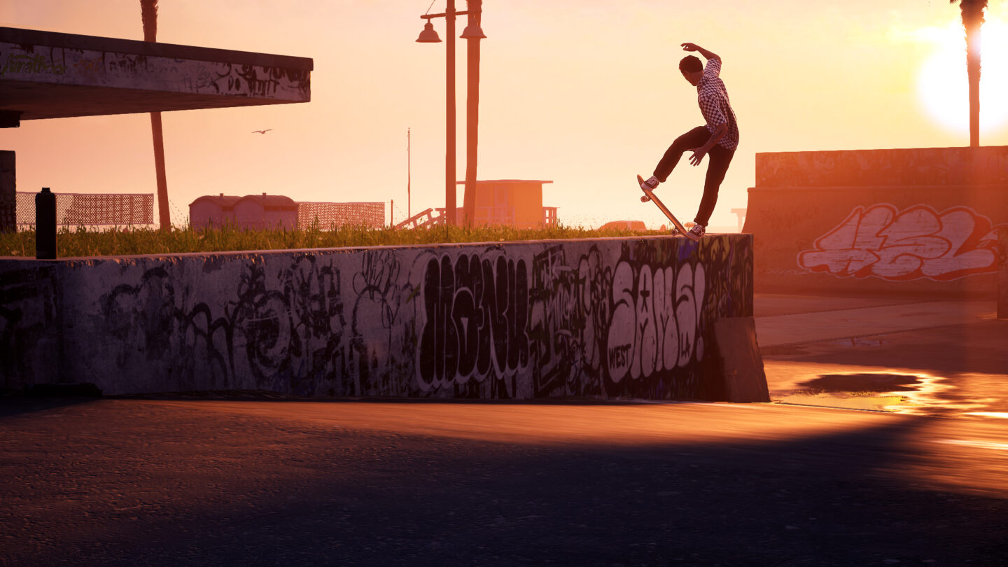 Pro Skater