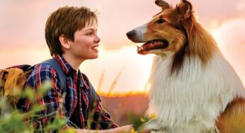 ¿Fan de ‘Lassie’? Llega nueva cinta de la collie más famosa