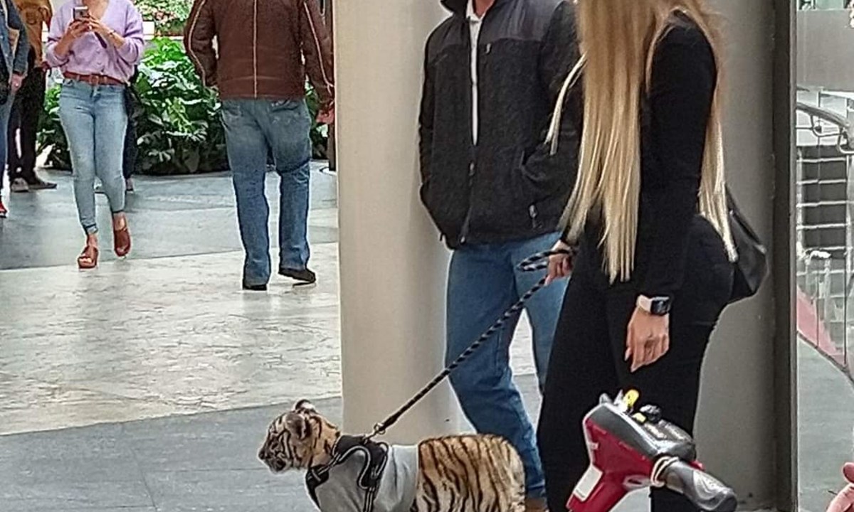 Mujer pasea cachorro de tigre en centro comercial Antara