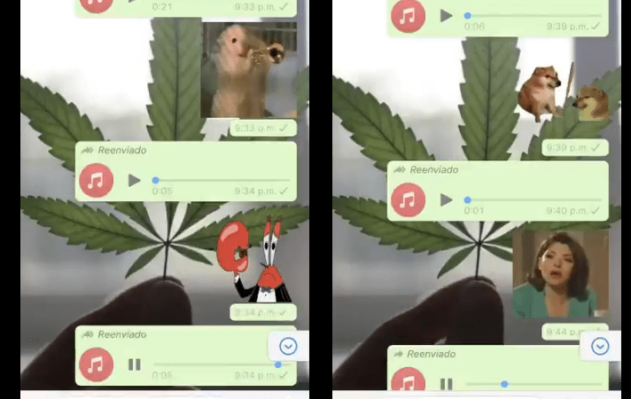 Stickers de WhatsApp con audio, créalos y compártelos con tus contactos
