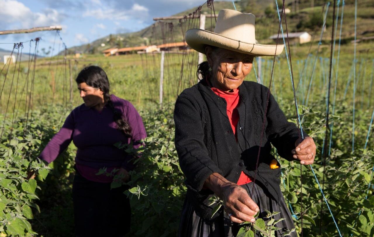 mujeres rurales